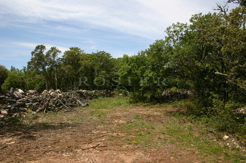 Beautiful plot close to Bonnieux, Luberon – Provence