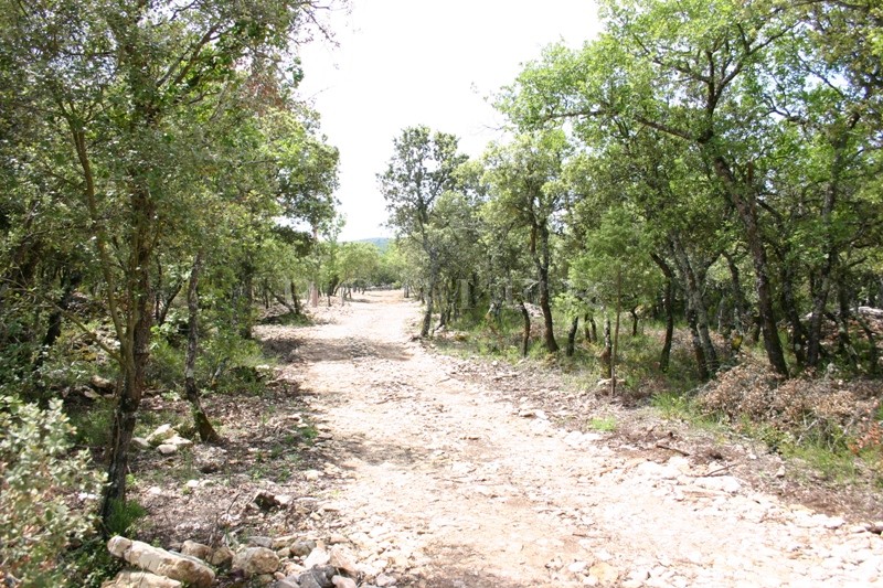 Beautiful plot close to Bonnieux, Luberon – Provence