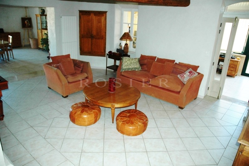 Renovated mas near the Luberon Mountain