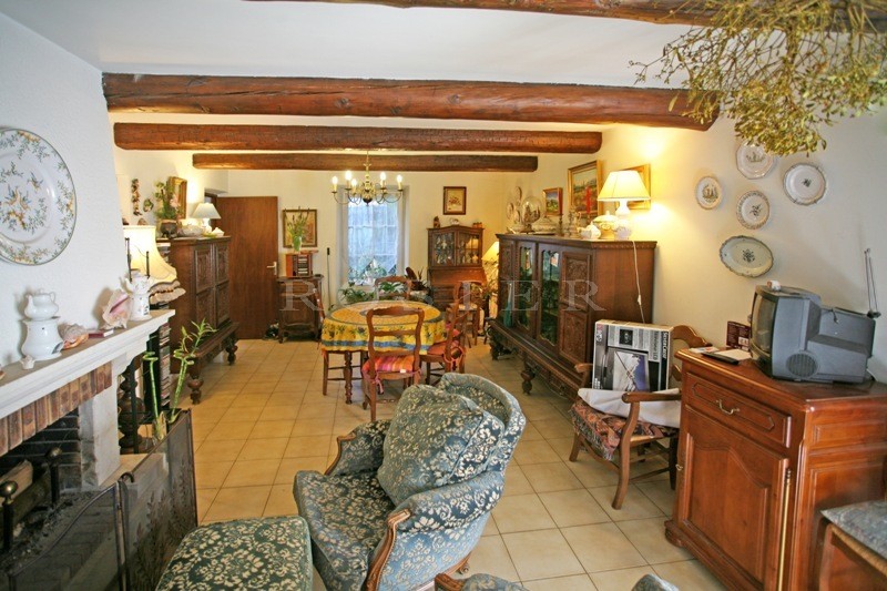 Luberon, for sale, renovated mansion with swimming pool and garden in a village with amenities