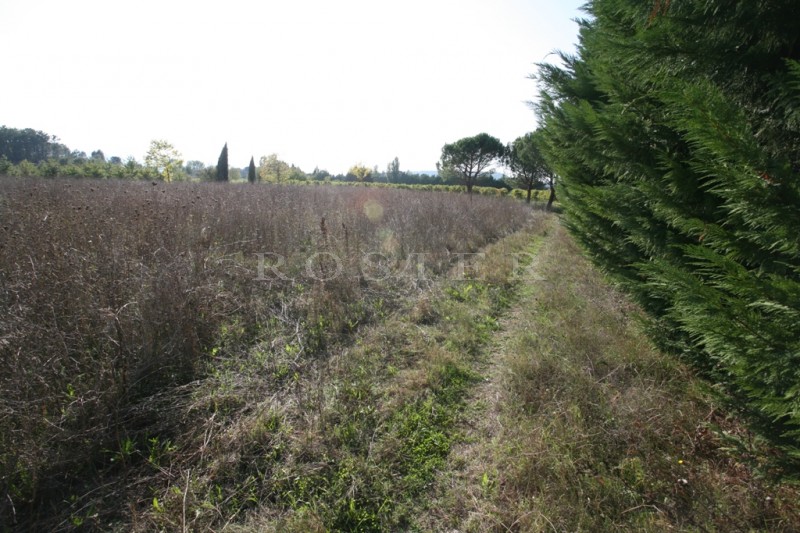 Charming house in a hamlet in the north Luberon