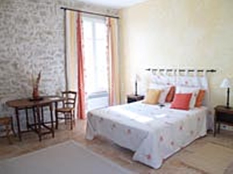 Near Isle sur la Sorgue in Provence, for sale, an authentic restored property a former vineyard currently a large B&B