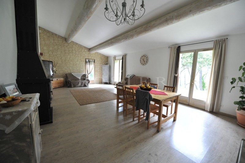 In the heart of the Vaucluse mountains and the Luberon Park, charming stone house for sale