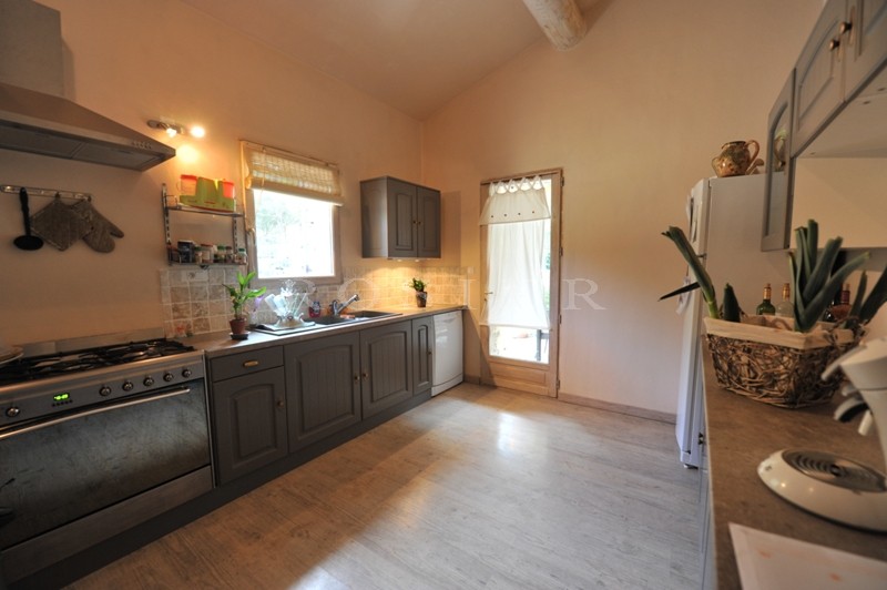 In the heart of the Vaucluse mountains and the Luberon Park, charming stone house for sale