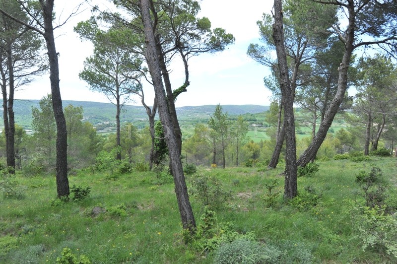 In the heart of the Vaucluse mountains and the Luberon Park, charming stone house for sale