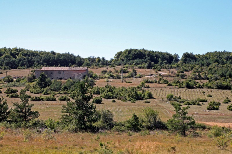 For sale, in Luberon, XVth century fortified farm with over 140 hectares of land 