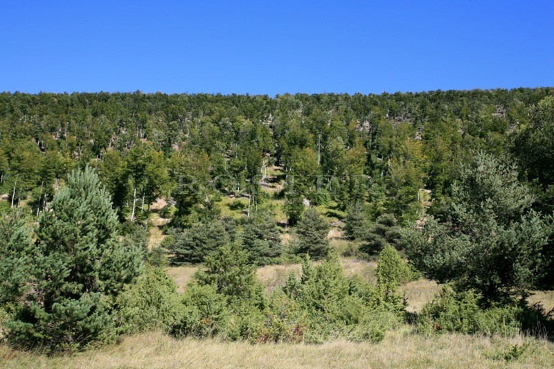 For sale, in Luberon, XVth century fortified farm with over 140 hectares of land 
