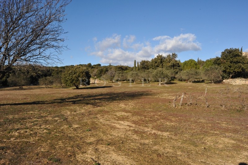 Provence, Luberon, Gordes, for sale, more than 2.5 acres of constructible land with building permit between Luberon and Monts du Vaucluse