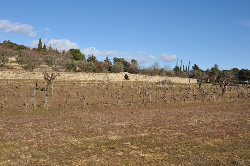 Provence, Luberon, Gordes, for sale, more than 2.5 acres of constructible land with building permit between Luberon and Monts du Vaucluse