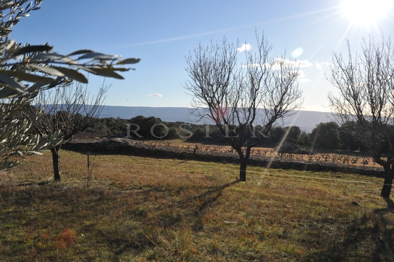 Provence, Luberon, Gordes, for sale, more than 2.5 acres of constructible land with building permit between Luberon and Monts du Vaucluse