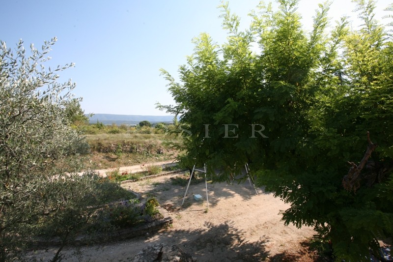 Authentic Provencal farmhouse between the Luberon and the Vaucluse mountains, on several hectares of land.