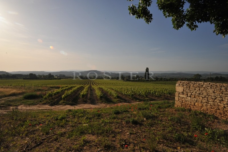 In Provence, in the midst of the famous hilltop villages of the Luberon regional park, for sale, an exceptional property on 18 hectares (44.5 acres) of land.