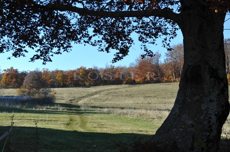 In the Natural Park of the Luberon, for sale, exceptional renovated farmhouse on more than 150 hectares