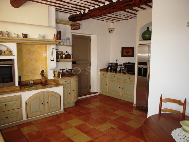 Restored farmhouse at the heart of a renowned Provencal village