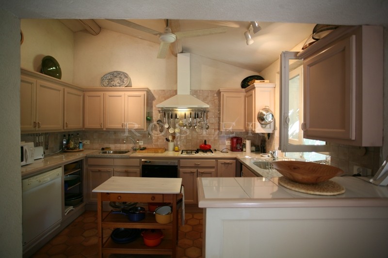 Close to Gordes: a charming hamlet house with a garden large enough to accomodate a swimming pool