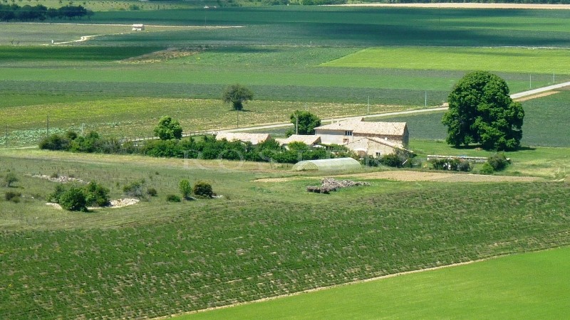 In the heart of Provence, a beautiful 19th century property. Absolutely peaceful and with wonderful potential.