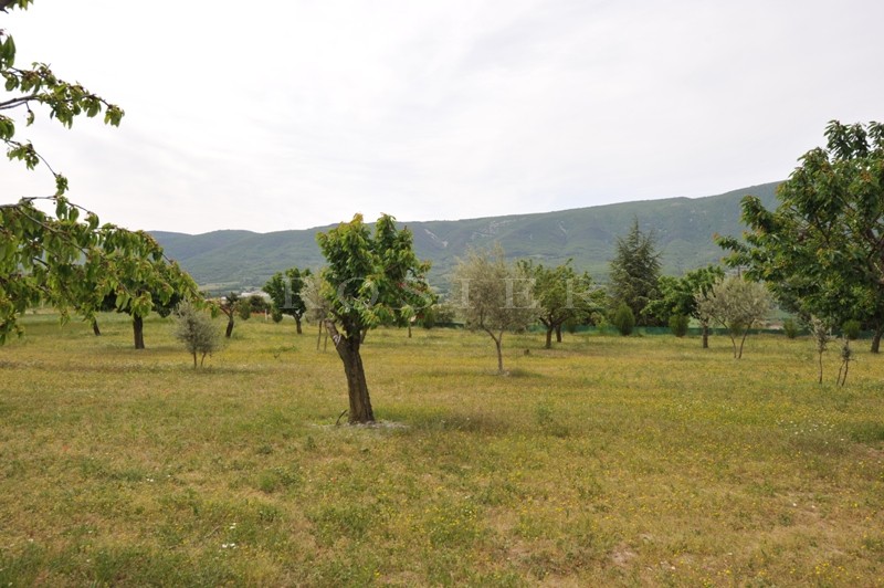Provence, Luberon, for sale, hillside property with outbuildings, on a park of 50 hectares, facing the Luberon mountain, 