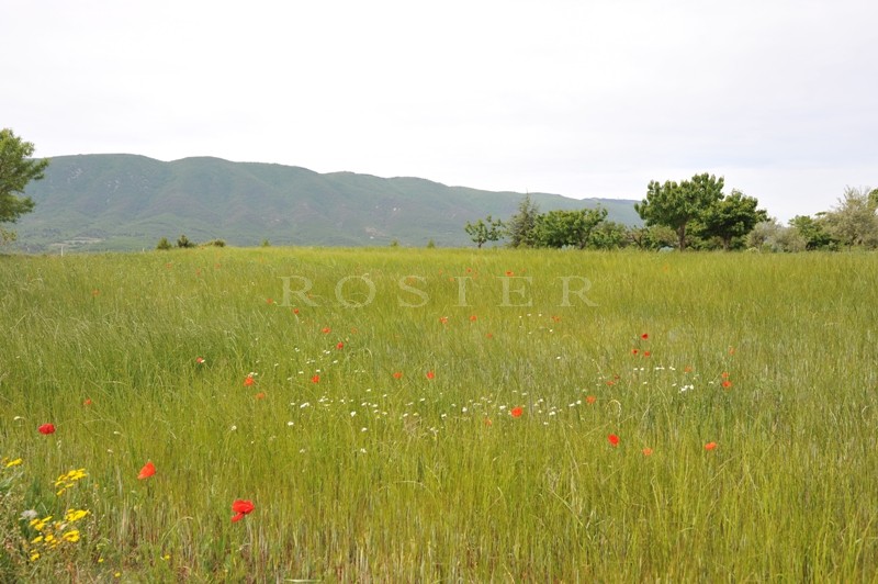 Provence, Luberon, for sale, hillside property with outbuildings, on a park of 50 hectares, facing the Luberon mountain, 