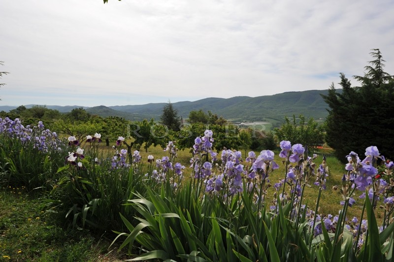 Provence, Luberon, for sale, hillside property with outbuildings, on a park of 50 hectares, facing the Luberon mountain, 