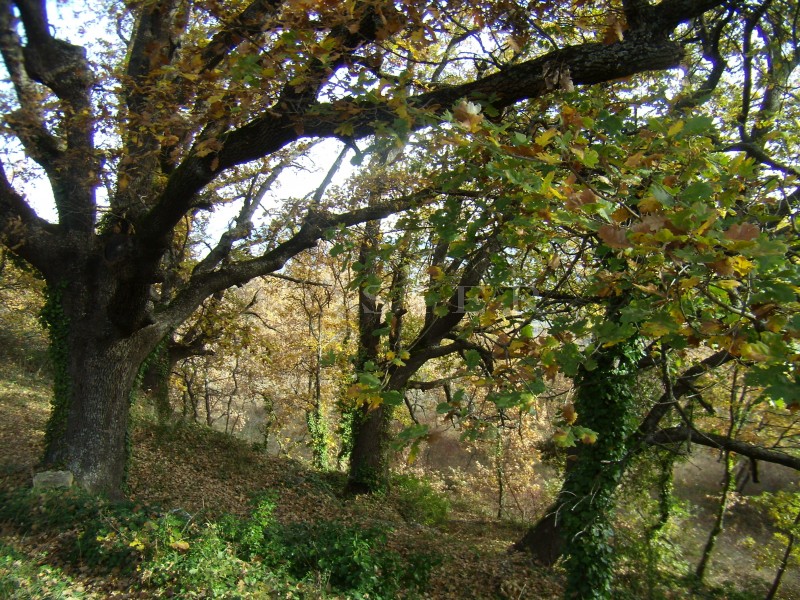 In the heart of the Luberon countryside, a small stone farmhouse nestled in a plot of about one hectare (2.5 acres)