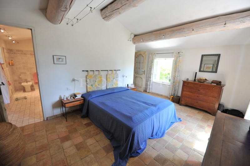 For sale, a magical place in the Luberon, a old farmhouse on 3 hectares grounds