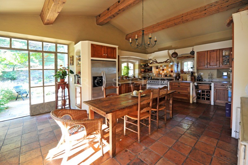 For sale, vineyard in the Luberon, comprising 6 hectares (14.8 acres) of vines, manor house, outbuildings and cellars.
