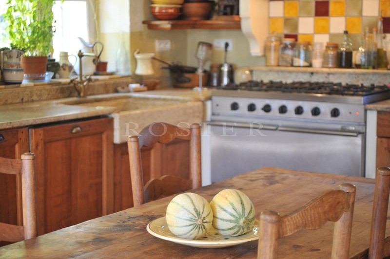For sale, vineyard in the Luberon, comprising 6 hectares (14.8 acres) of vines, manor house, outbuildings and cellars.