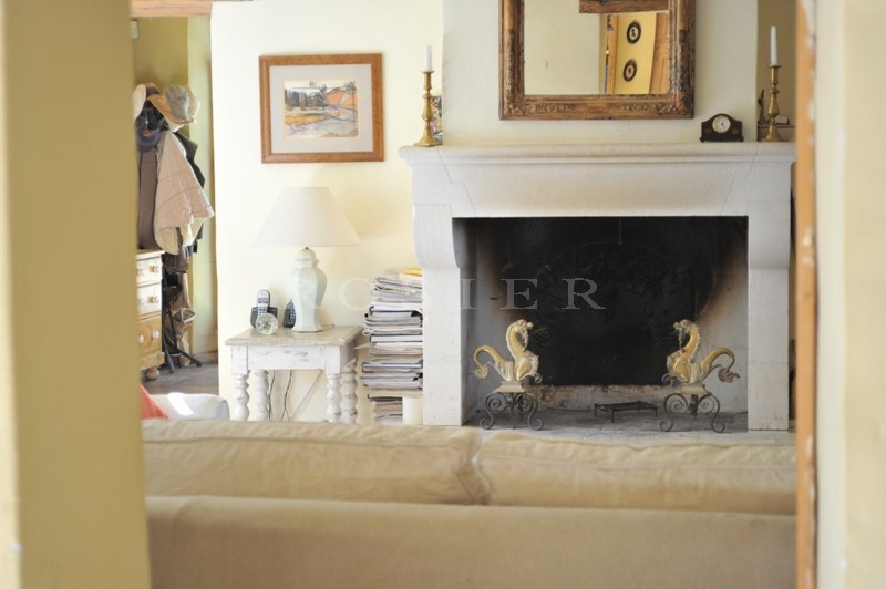 For sale, vineyard in the Luberon, comprising 6 hectares (14.8 acres) of vines, manor house, outbuildings and cellars.