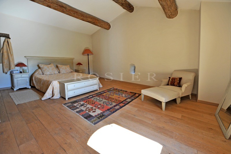 For sale, vineyard in the Luberon, comprising 6 hectares (14.8 acres) of vines, manor house, outbuildings and cellars.