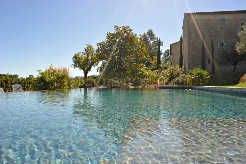 For sale, vineyard in the Luberon, comprising 6 hectares (14.8 acres) of vines, manor house, outbuildings and cellars.