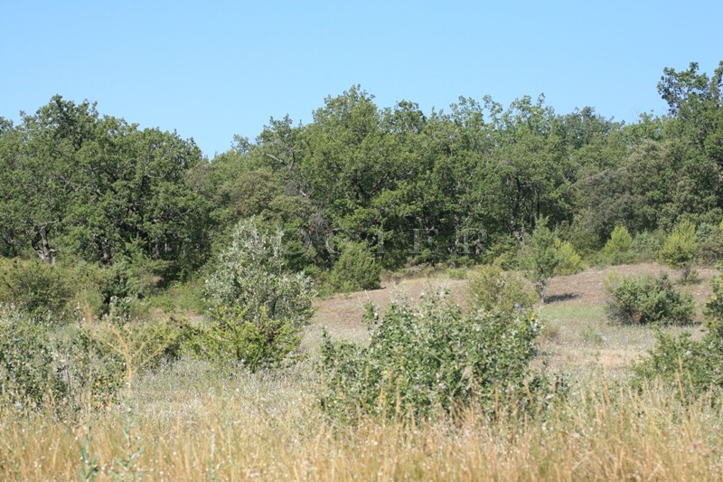 In Luberon, for sale, traditional style house on more than 2 hectares (5 acres) of land plus a separate outbuilding