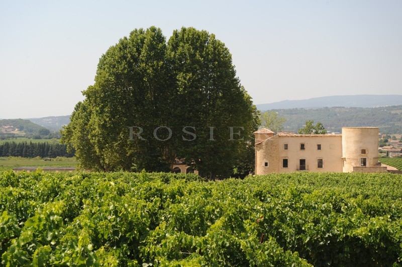 In Provence, in the midst of the famous hilltop villages of the Luberon regional park, for sale, an exceptional property on 18 hectares (44.5 acres) of land.
