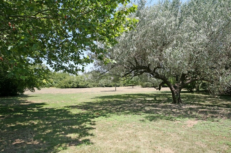 Close to Gordes, in the Luberon, a stone house on more than 1.5 hectares (3.7 acres) of grounds