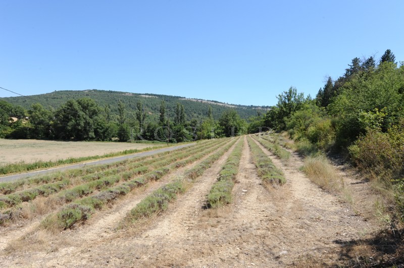 On the south side of the Vaucluse mountains, facing the Luberon and just several minutes from a lovely Provencal village, an old house for renovation