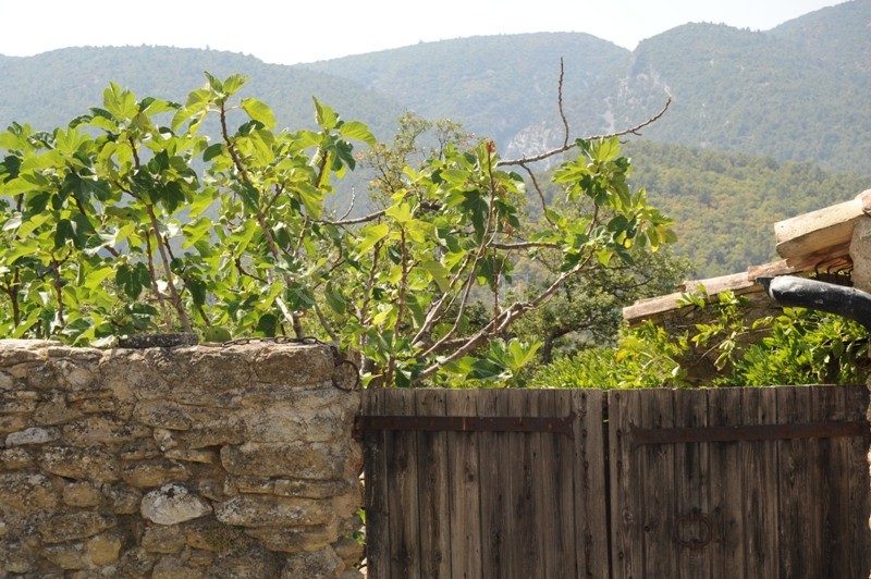 In the golden triangle of Luberon, for sale, an ancient farmhouse for renovation with an internal courtyard very close to the centre of a renowned Provencal village, with stunning views