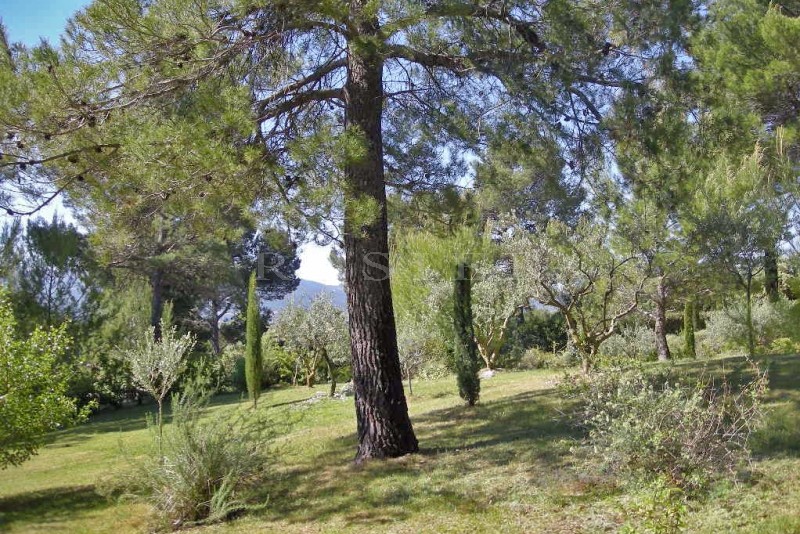 Plot of land of more than 2000 m² for sale with existing building permit.