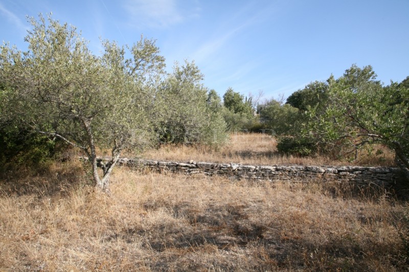Superb buildable plot close to the village of Gordes offering open views over the Luberon mountain 