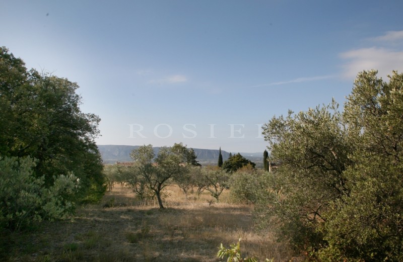 Superb buildable plot close to the village of Gordes offering open views over the Luberon mountain 