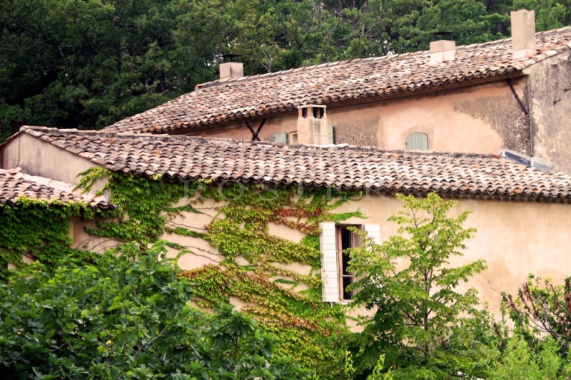 For sale, vineyard in the Luberon, comprising 6 hectares (14.8 acres) of vines, manor house, outbuildings and cellars.