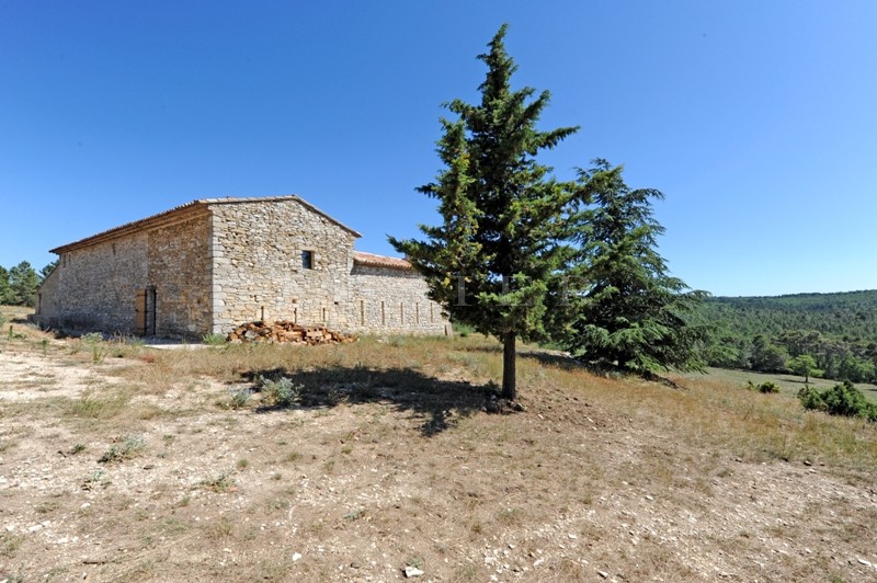 For sale, restored XVIth century farmhouse situated in the Ventoux mountains, at the entrance to the Luberon.