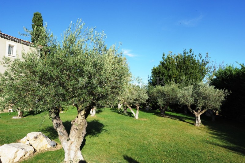 For sale in the Alpilles, exceptional architect house with larges volumes and high quality materials.