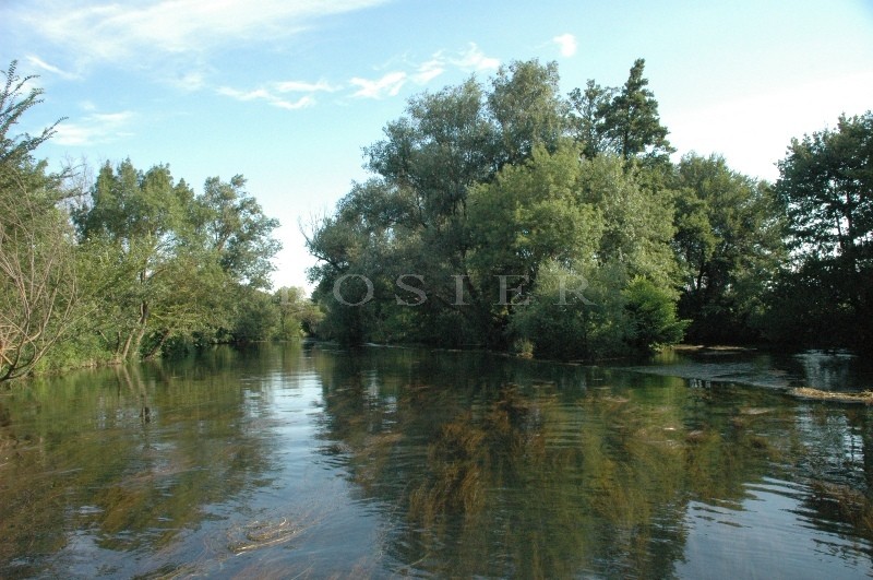 For sale in the Pays of Sorgues, by the river,large property comprising a farmhouse, outbuildings, swimming pool on a 6 hectares park