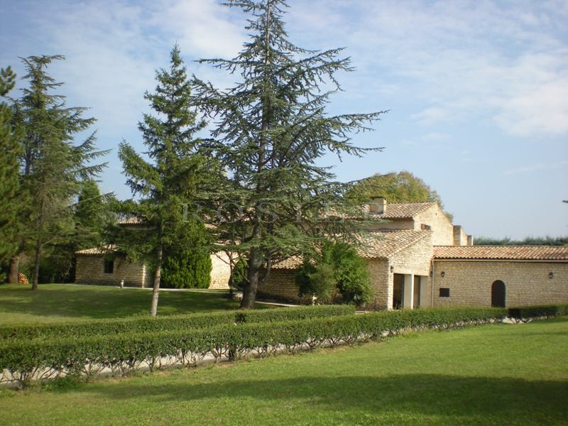 For sale in Luberon by ROSIER, authentic renovated provençal farmhouse with a large terrace, a swimming pool on a 7 900 m² park