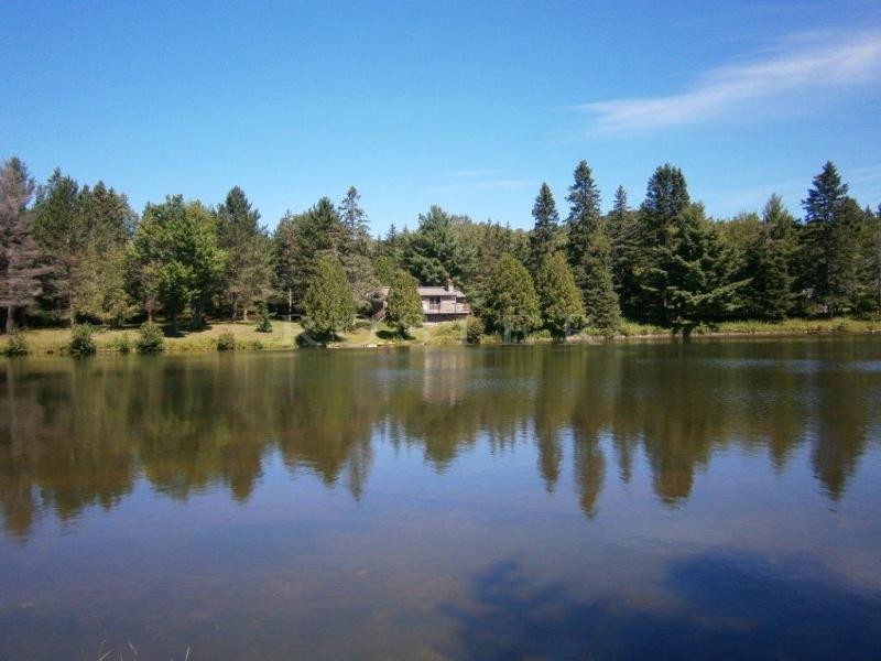 Canada, Laurentides, for sale real canadian chalet with a guest house and 2 lakes in a breathtaking scenery.