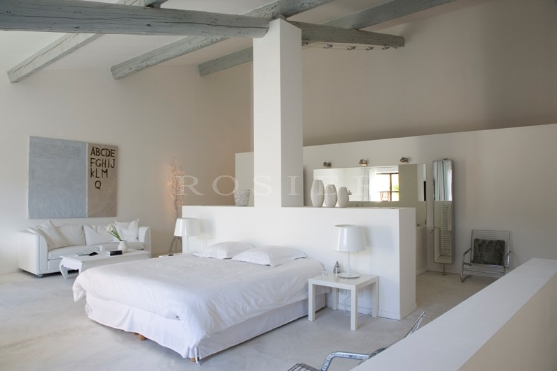 Provence, in Isle sur la Sorgue, the famous town of antiques markets, for sale, tastefully renovated townhouse with garden and swimming pool