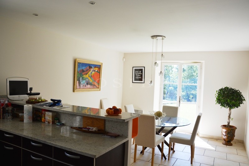 In, for sale, traditional provençale house with swimming pool, terrace in a superb park of 2 300 m²