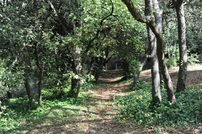 Luberon, for sale, minutes away from Gordes and Ménerbes, stone property with heated swimming pool and pool house