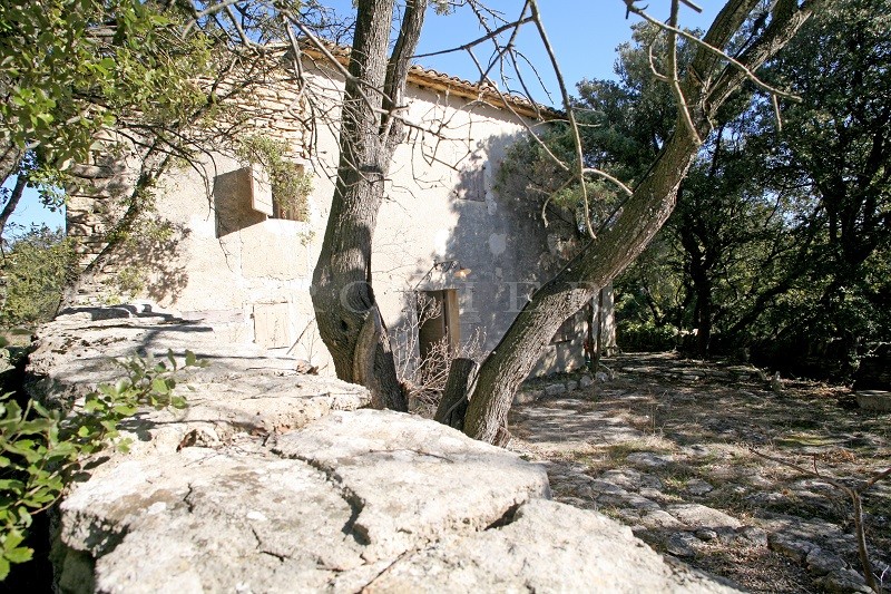 Near Gordes in Luberon, for sale, beautiful sheepfold in stones on 3 hectares of land