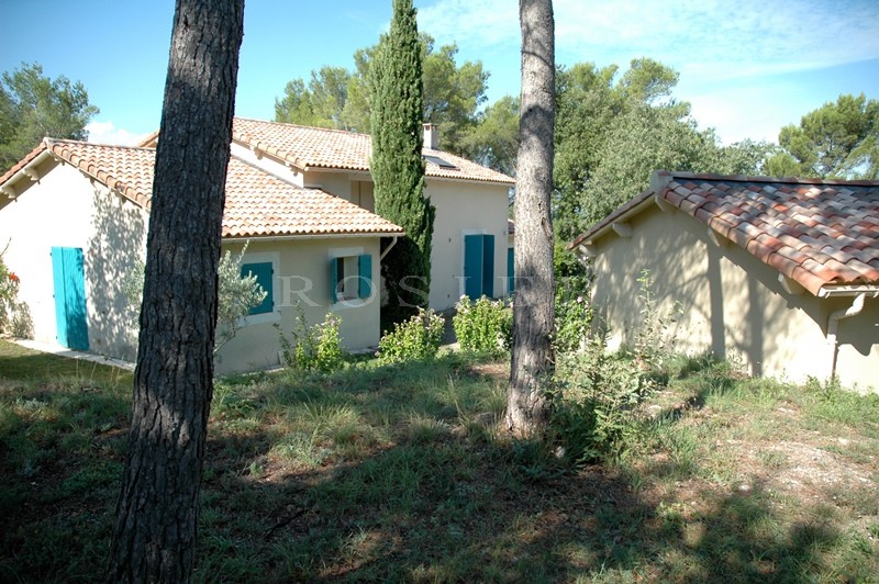 For sale in the Pays des Sorgues, lovely house under the pine trees