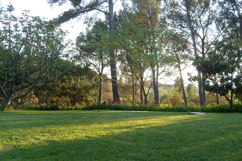 For sale in the Pays des Sorgues, lovely house under the pine trees